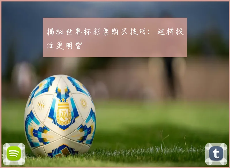 揭秘世界杯彩票购买技巧：这样投注更明智