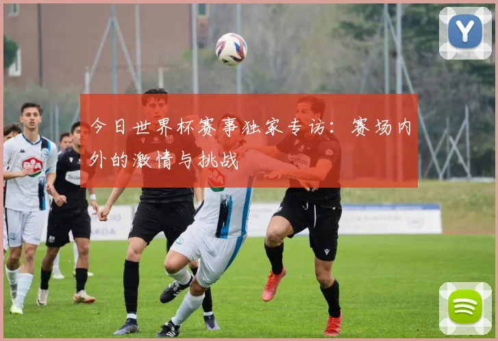 今日世界杯赛事独家专访：赛场内外的激情与挑战