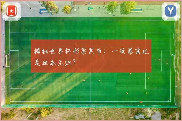 揭秘世界杯彩票黑市：一夜暴富还是血本无归？