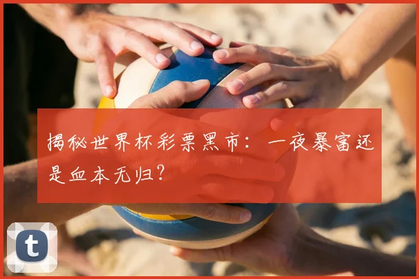 揭秘世界杯彩票黑市：一夜暴富还是血本无归？