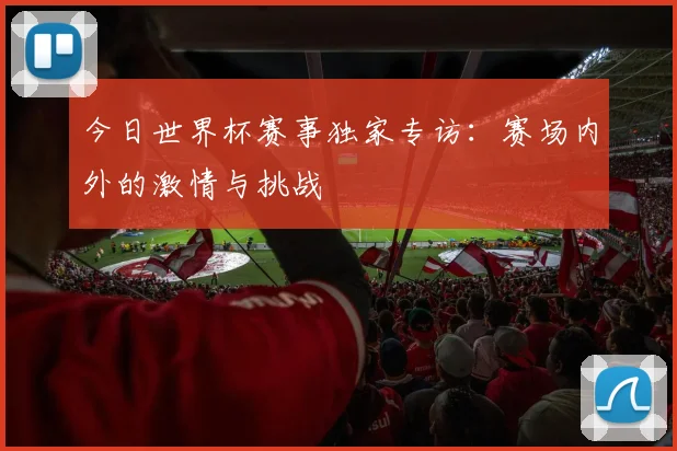 今日世界杯赛事独家专访：赛场内外的激情与挑战