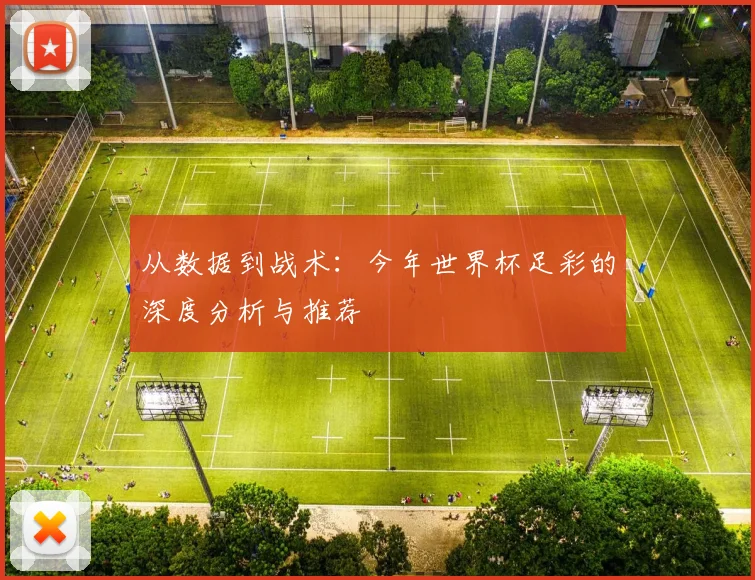 从数据到战术：今年世界杯足彩的深度分析与推荐