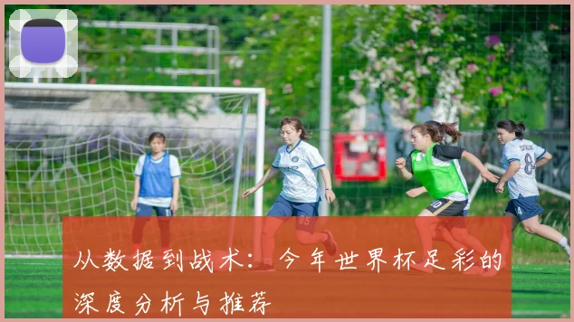 从数据到战术：今年世界杯足彩的深度分析与推荐