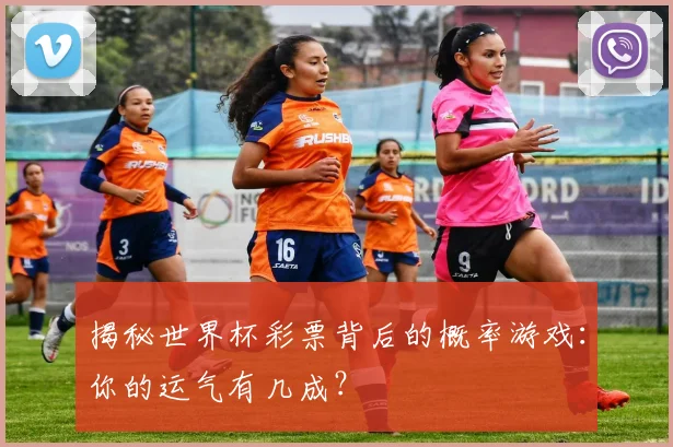 揭秘世界杯彩票背后的概率游戏：你的运气有几成？