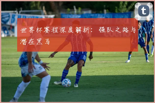 世界杯赛程深度解析:强队之路与潜在黑马